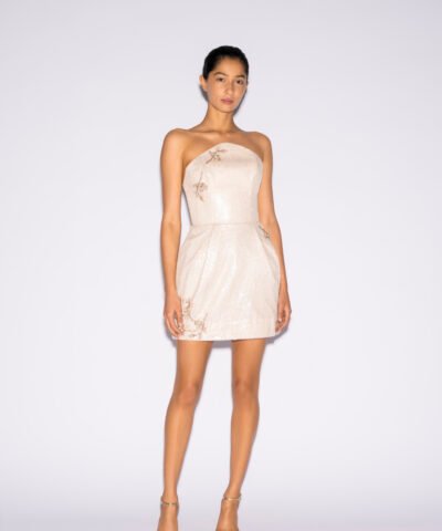 IVONNE MINI DRESS